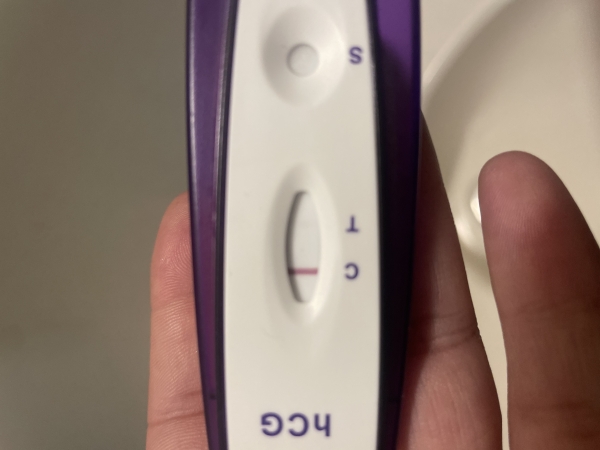 Generic Pregnancy Test, 13 Days Post Ovulation, Cycle Day 29