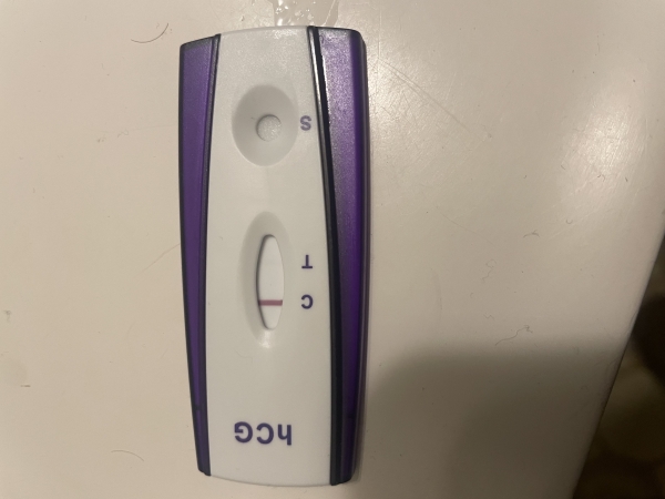 Generic Pregnancy Test, 13 Days Post Ovulation, Cycle Day 29