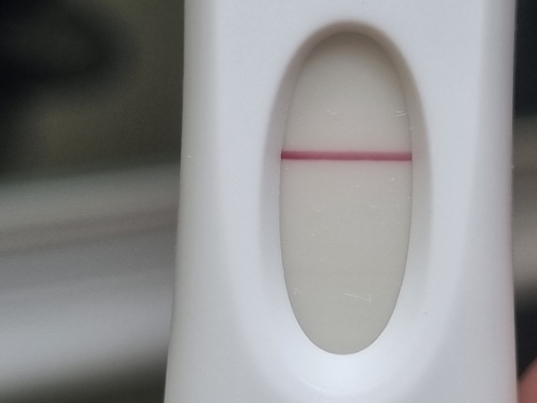 Home Pregnancy Test