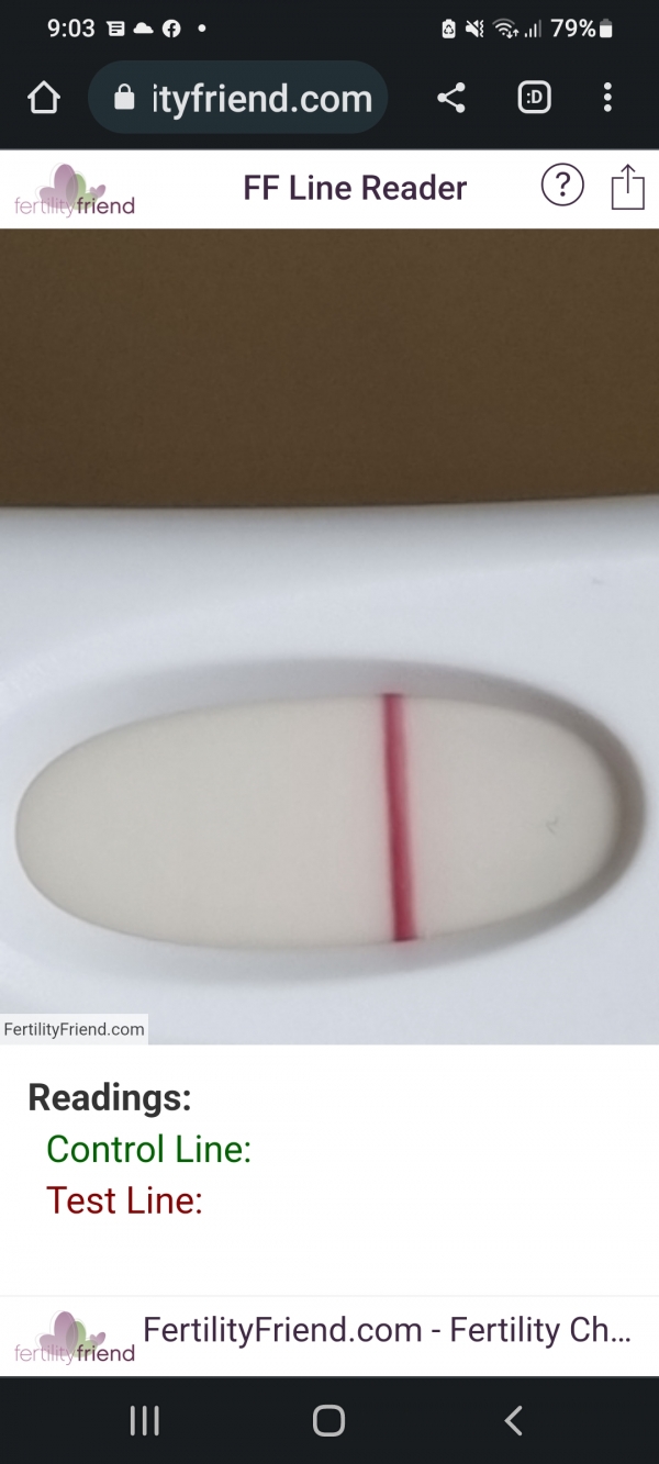 Home Pregnancy Test