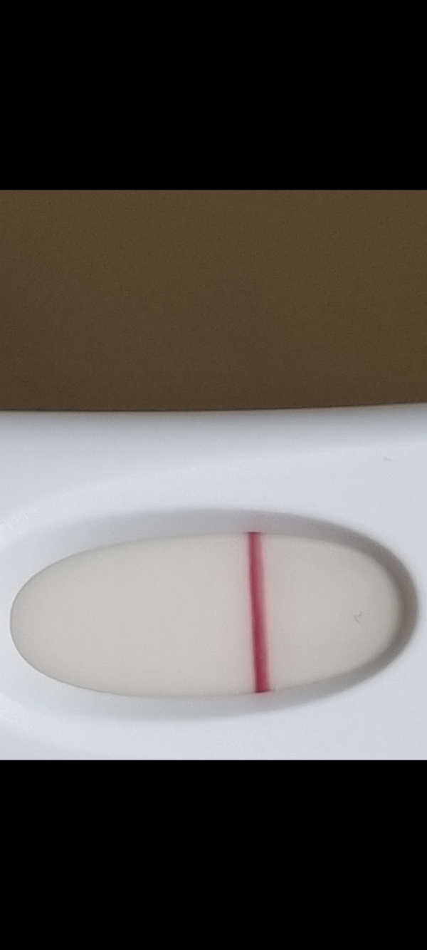 Home Pregnancy Test