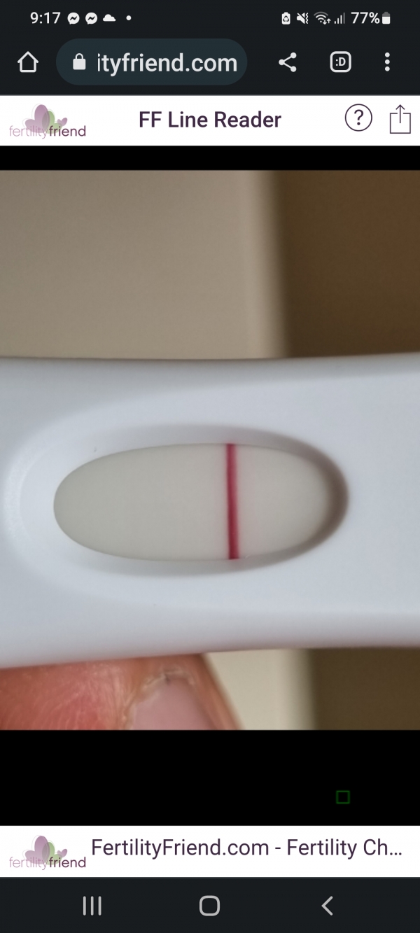 Home Pregnancy Test