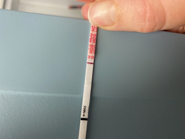 Wondfo Test Strips Pregnancy Test, 12 Days Post Ovulation