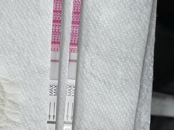 Generic Pregnancy Test, 12 Days Post Ovulation, Cycle Day 31