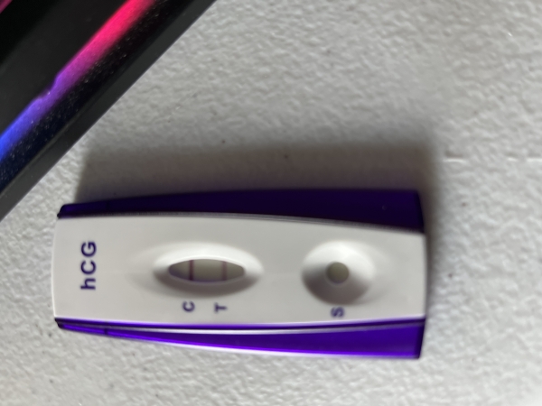 Equate One Step Pregnancy Test, 21 Days Post Ovulation, Cycle Day 41