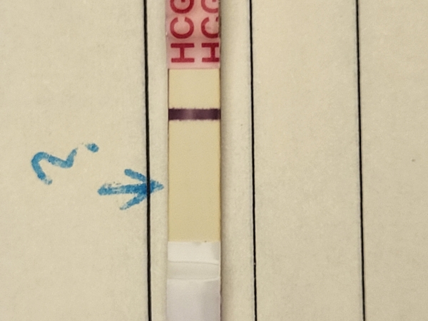 Wondfo Test Strips Pregnancy Test, FMU