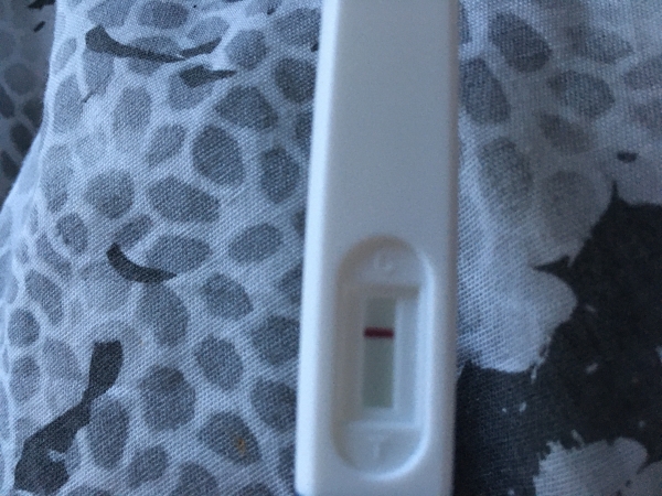 Generic Pregnancy Test, 16 Days Post Ovulation, Cycle Day 36