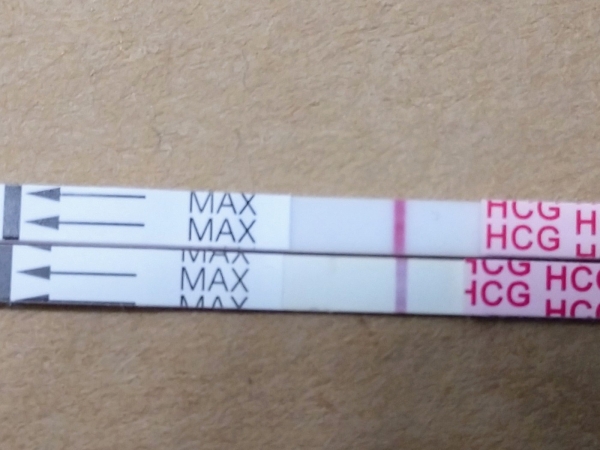 AccuMed Pregnancy Test