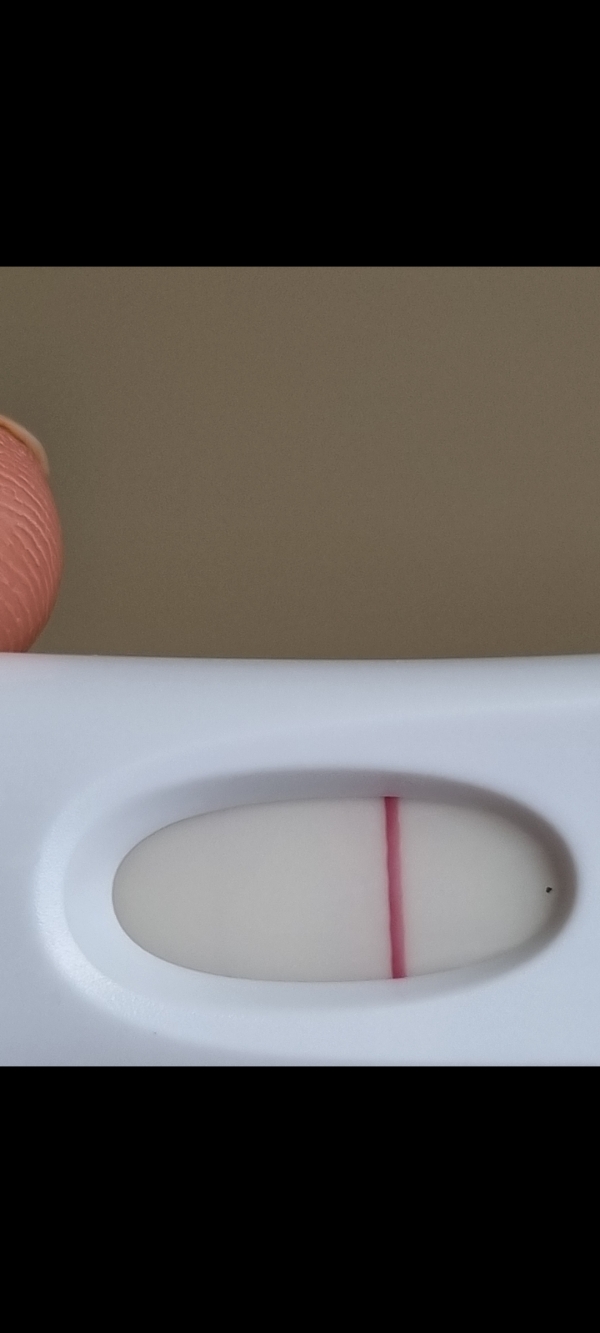 Home Pregnancy Test