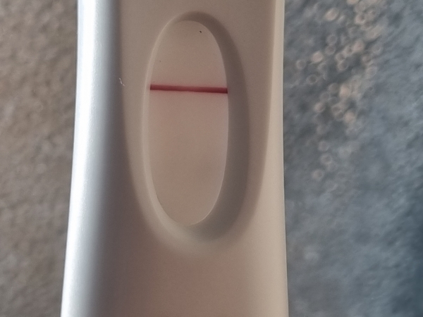 Home Pregnancy Test