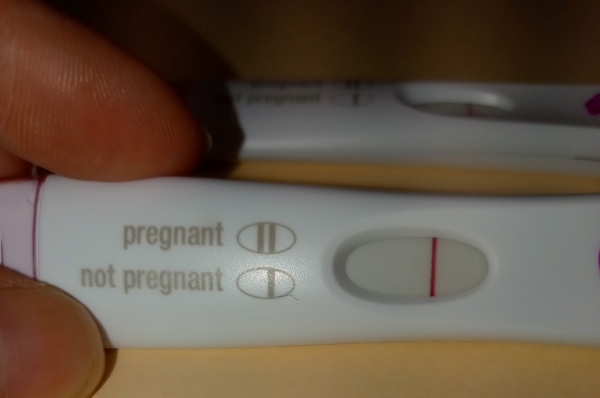 Home Pregnancy Test