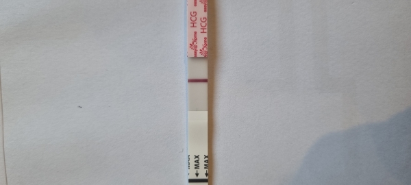 Home Pregnancy Test