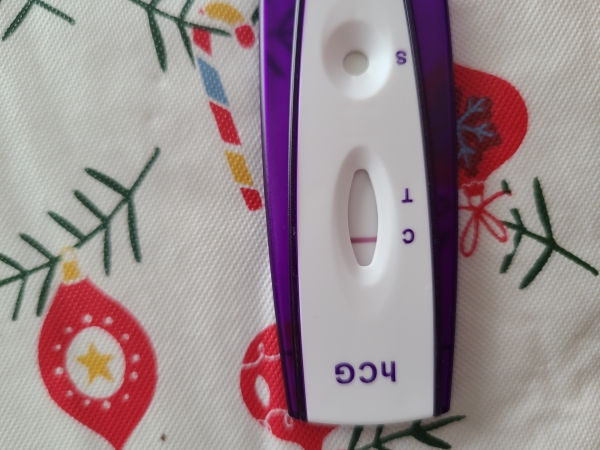 Home Pregnancy Test