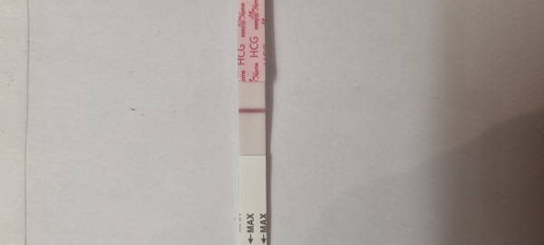 Home Pregnancy Test