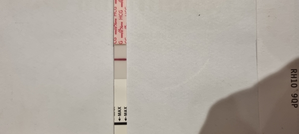 Home Pregnancy Test
