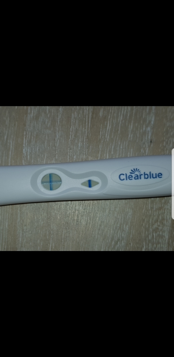 Clearblue Plus Pregnancy Test, 16 Days Post Ovulation, Cycle Day 38