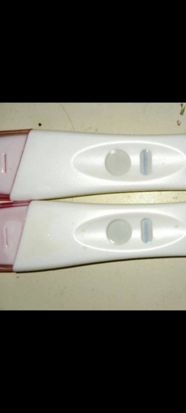 Home Pregnancy Test