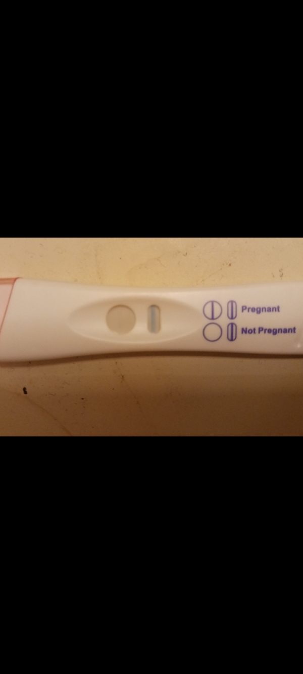 Home Pregnancy Test