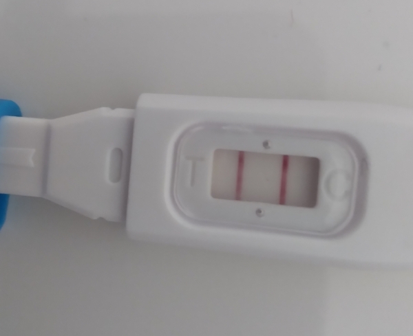 Home Pregnancy Test, 15 Days Post Ovulation, FMU