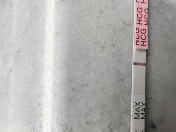 Home Pregnancy Test