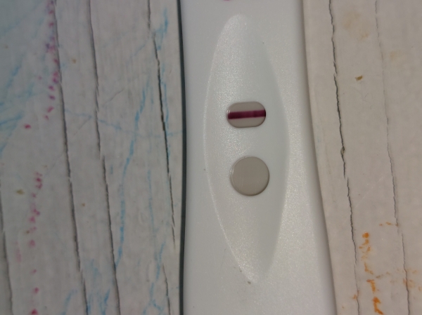 Home Pregnancy Test, 12 Days Post Ovulation