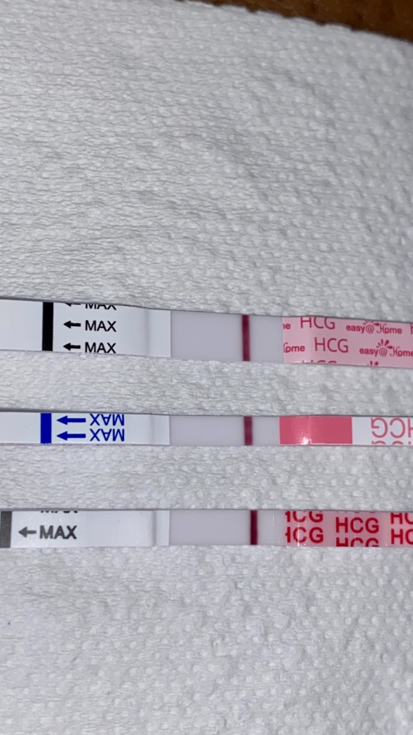 Home Pregnancy Test