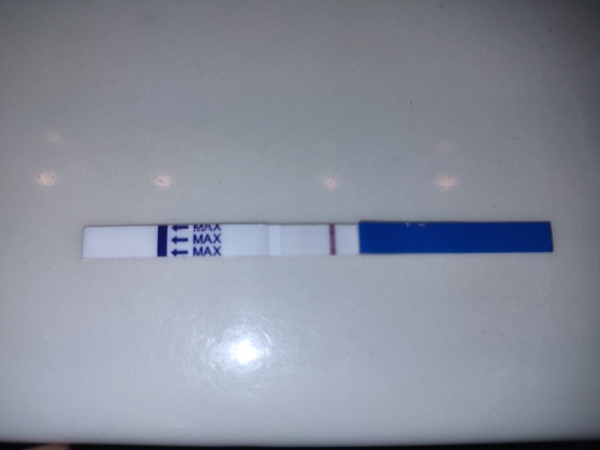 Generic Pregnancy Test, 10 Days Post Ovulation