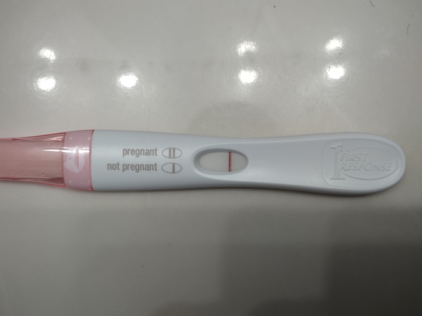 Home Pregnancy Test