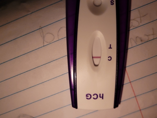 Home Pregnancy Test