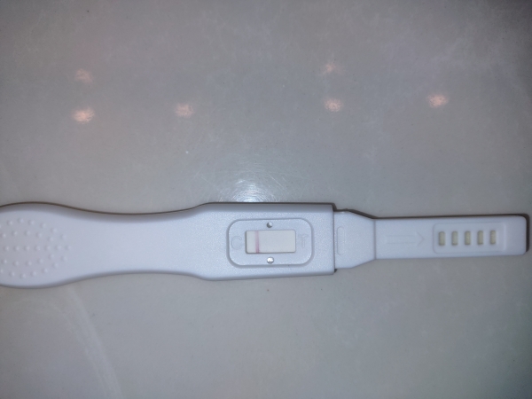 Home Pregnancy Test