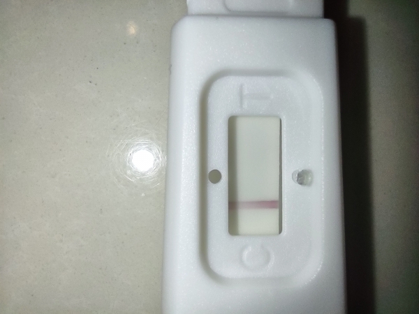 Home Pregnancy Test