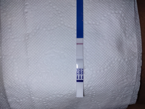 Home Pregnancy Test