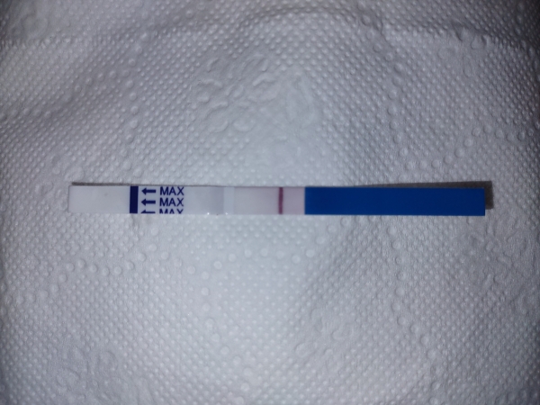 Home Pregnancy Test
