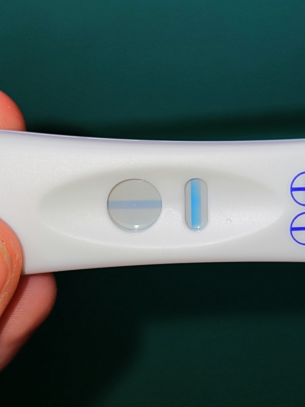 Home Pregnancy Test