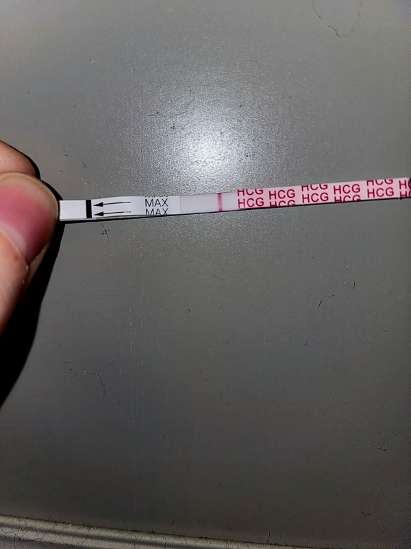 Home Pregnancy Test