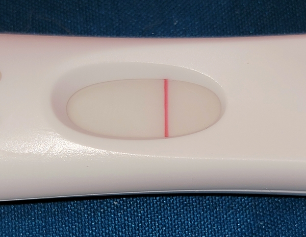 Home Pregnancy Test