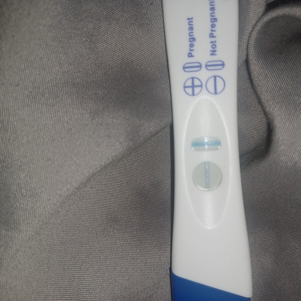 Home Pregnancy Test