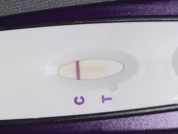 Generic Pregnancy Test, FMU