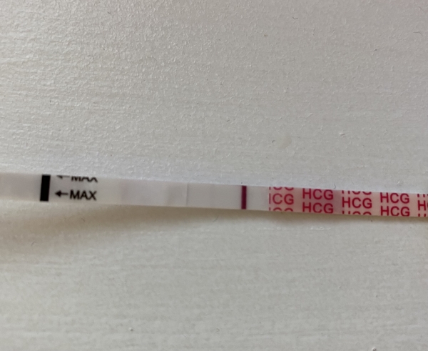 Wondfo Test Strips Pregnancy Test, 8 Days Post Ovulation