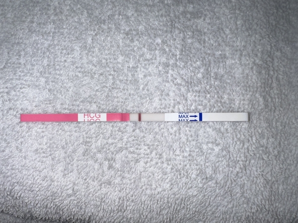 Clinical Guard Pregnancy Test