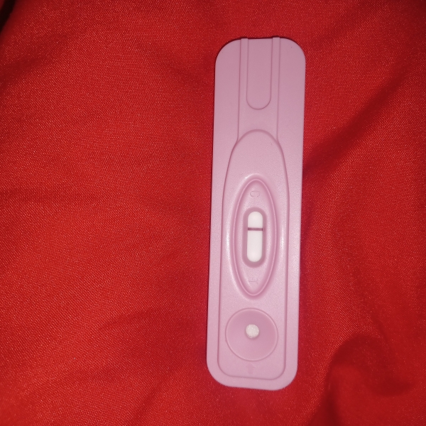 Home Pregnancy Test