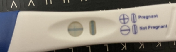 Walgreens One Step Pregnancy Test, 6 Days Post Ovulation, FMU