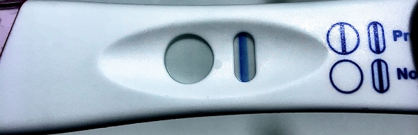 Home Pregnancy Test