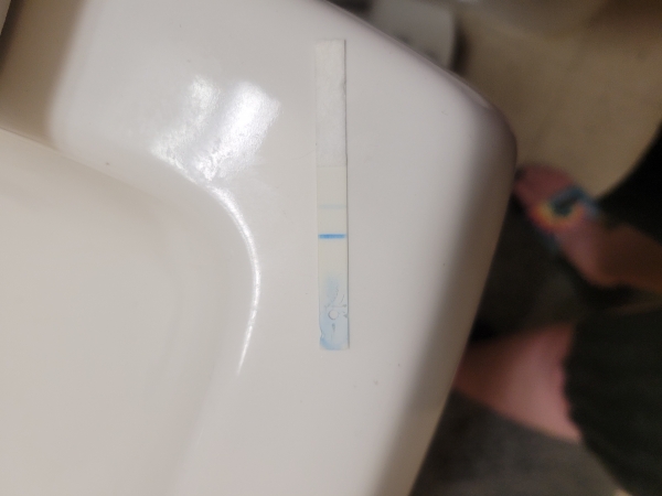 Clearblue Digital Pregnancy Test