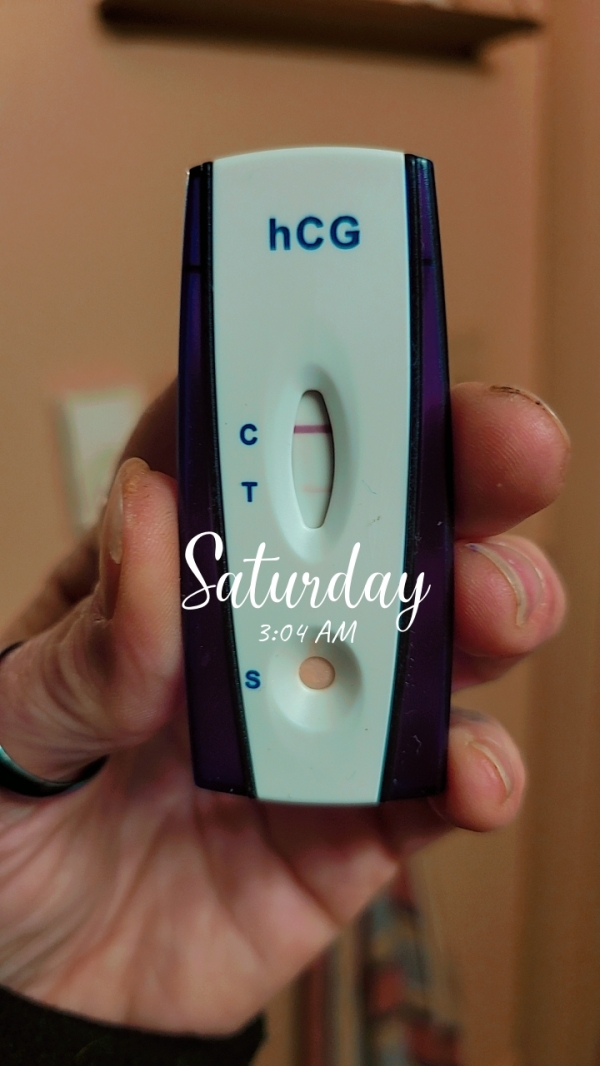 Home Pregnancy Test