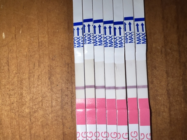 Clinical Guard Pregnancy Test, 11 Days Post Ovulation, FMU