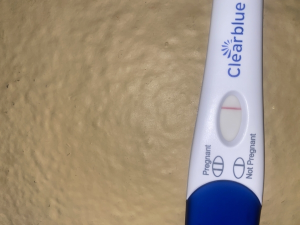 Clearblue Plus Pregnancy Test, 12 Days Post Ovulation, Cycle Day 31