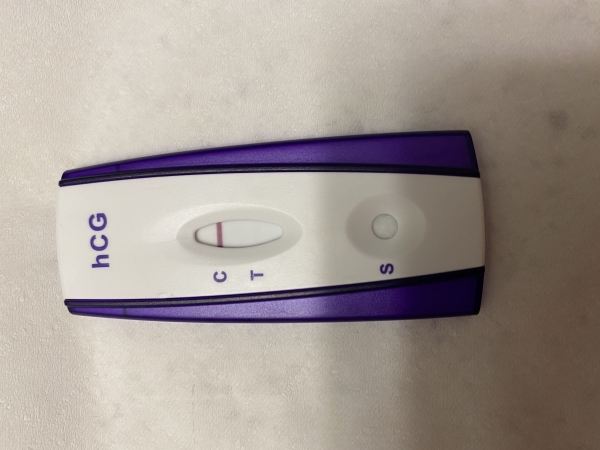 Home Pregnancy Test