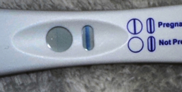 Home Pregnancy Test