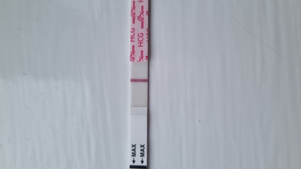 Home Pregnancy Test